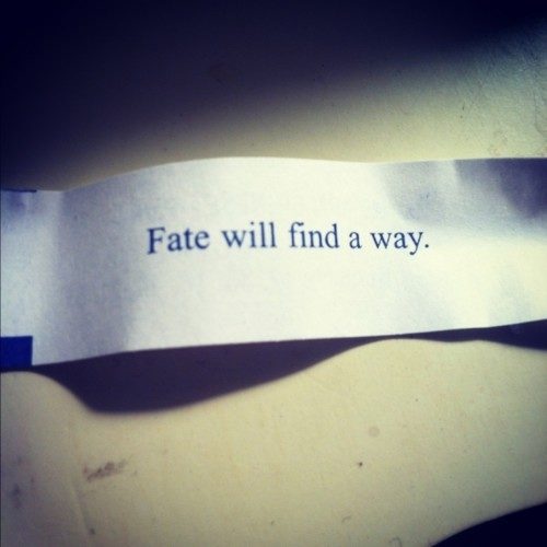fate-will-find-a-way