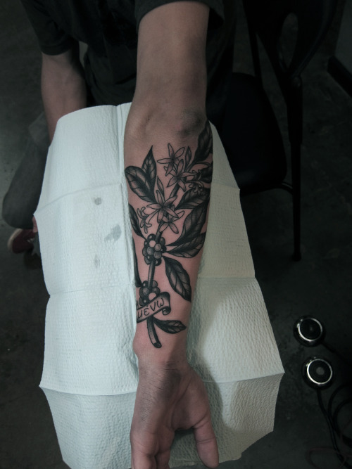 Black-And-Grey-Coffe-Plant-Tattoo-On-Arm-Sleeve