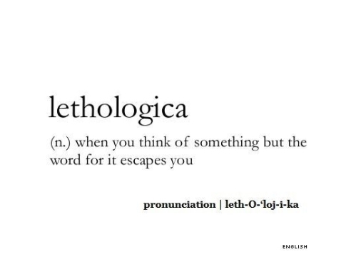 Not that I'll be able to retrieve this word from my noggin, but glad to have discovered the term that describes my daily life... #thestruggleisreal
