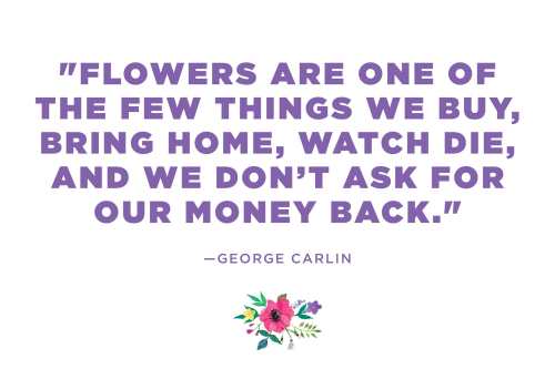 flowers-quotes-6